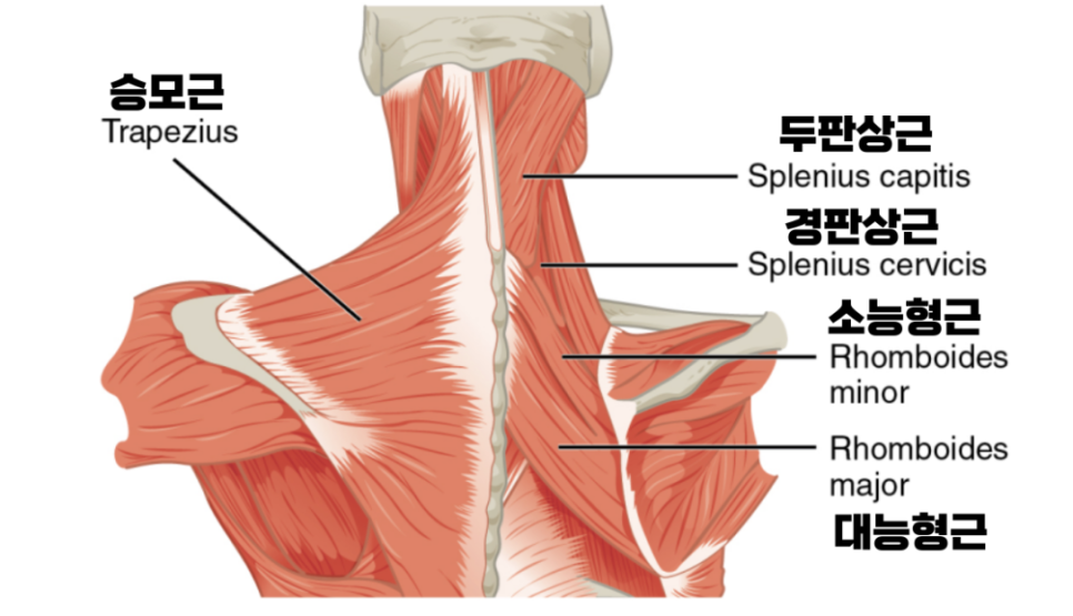 시그니처뷰티 이미지