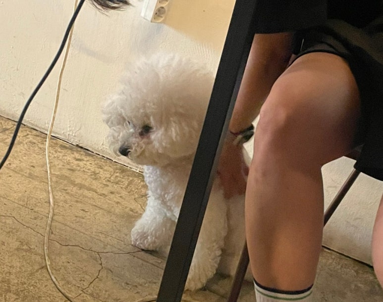 카페니치어은점 이미지