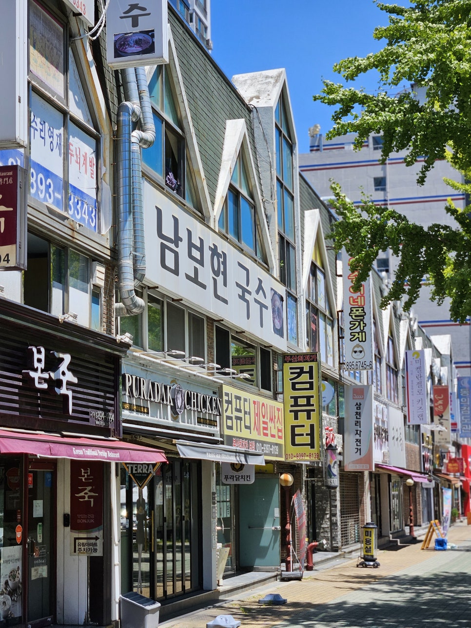 남보현국수 이미지