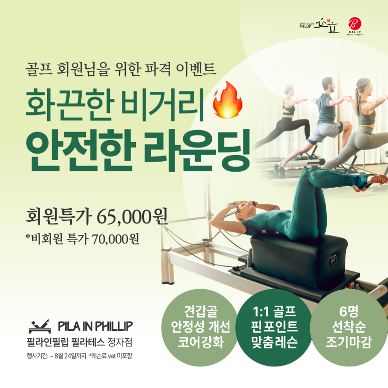 필라인 이미지