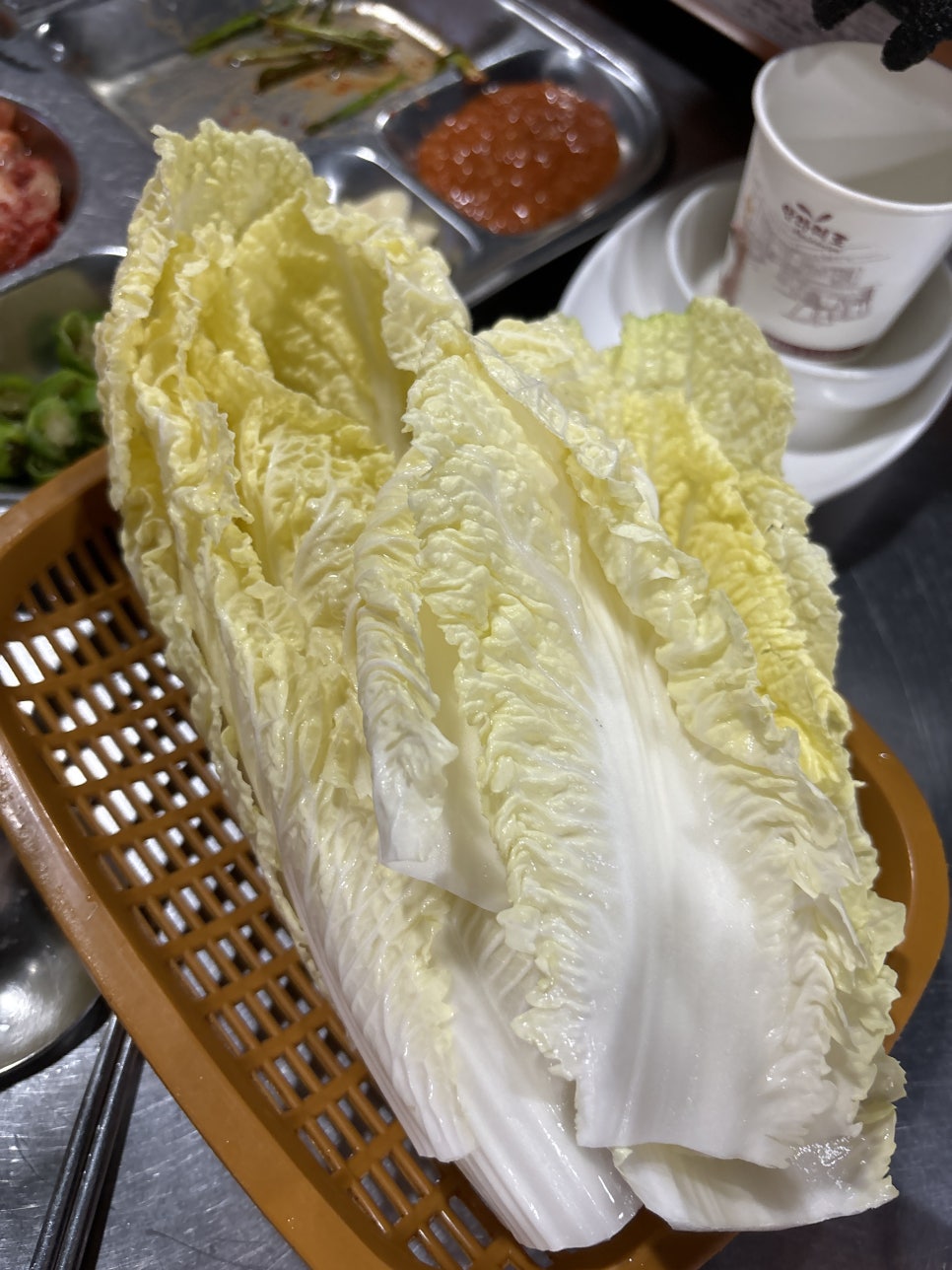 광돈이네 이미지