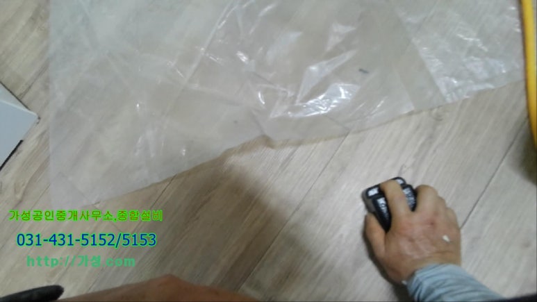 복랭삼 이미지