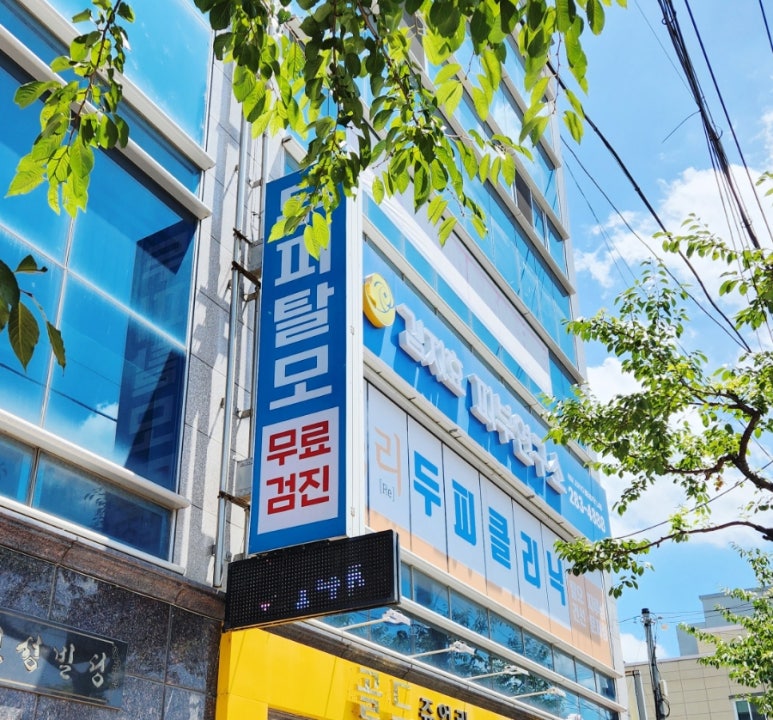 김지효피부연구소 이미지