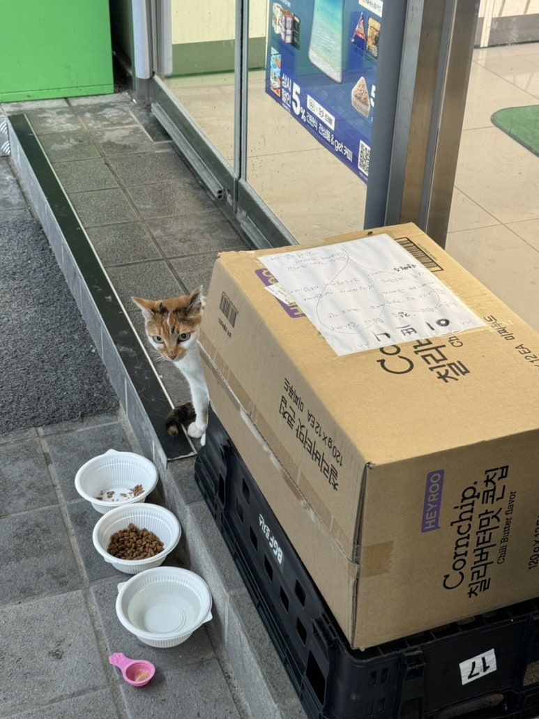 보배반점(부평시장점) 이미지