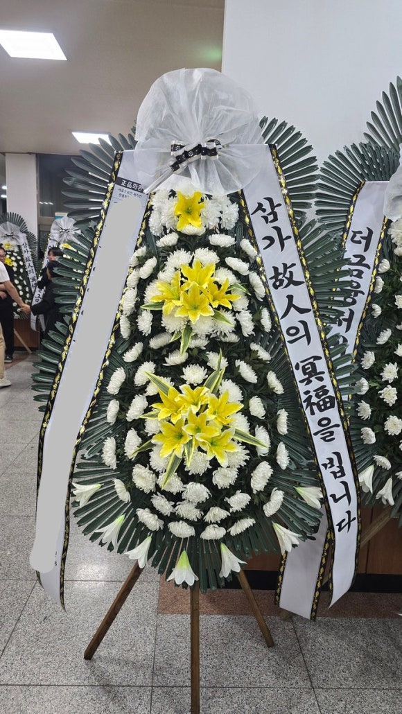 바바플레르 이미지