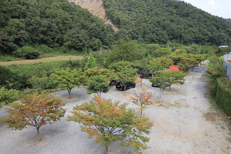 엄소리오토캠핑장 이미지