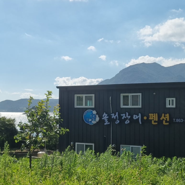 솔정장어 이미지