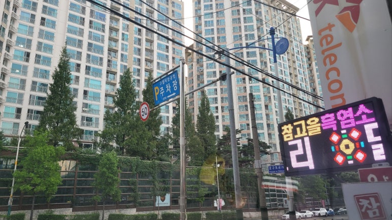 참고을흑염소 이미지
