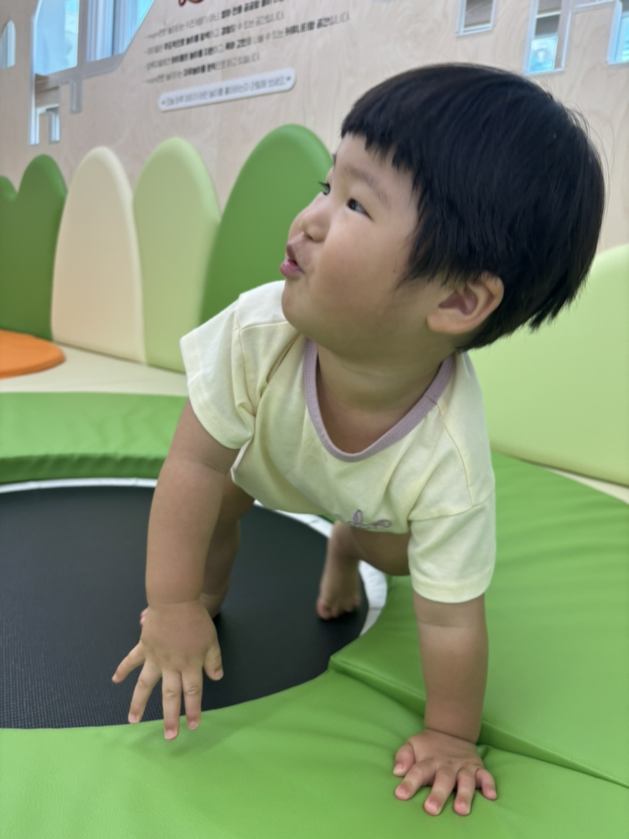 초록맘세상 이미지