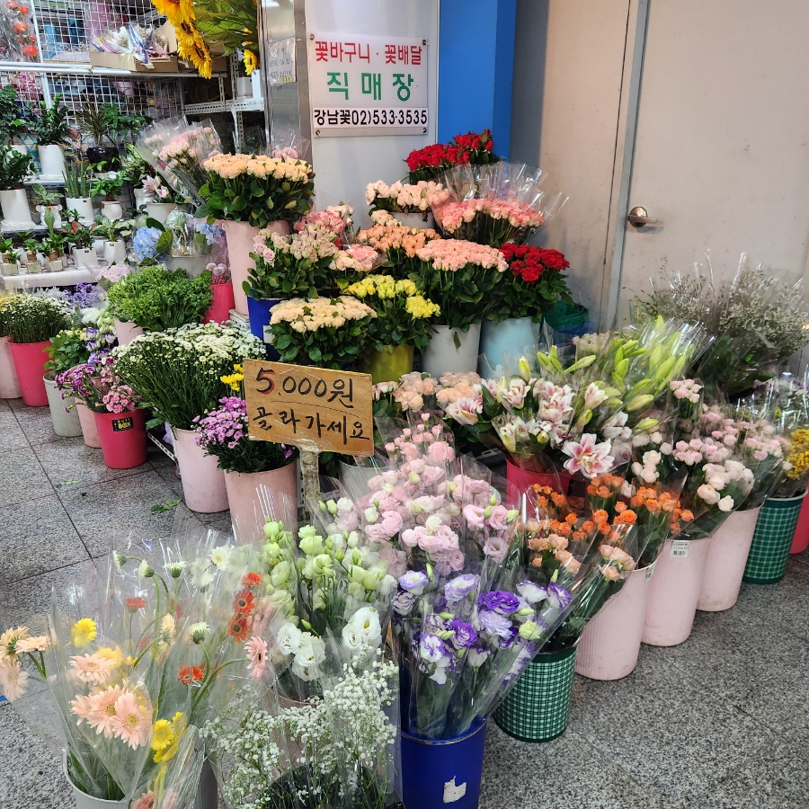 강남꽃직매장 이미지