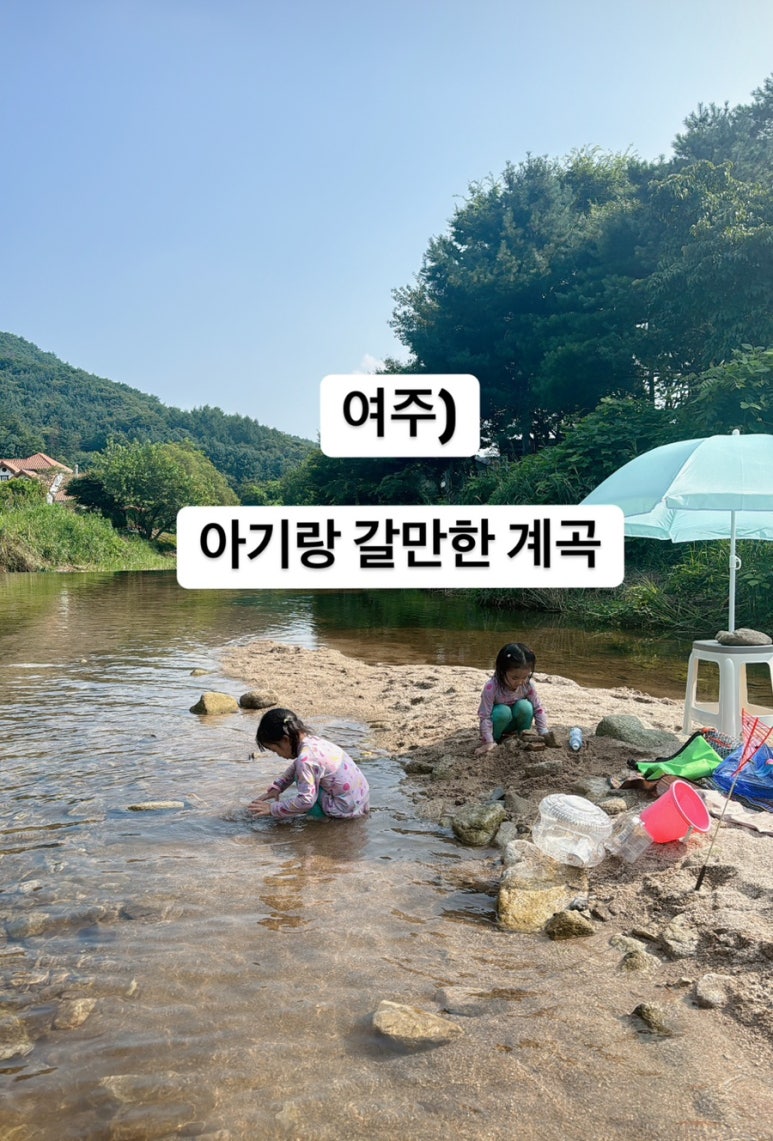 도전리식당 이미지