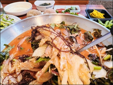 독도막회 이미지