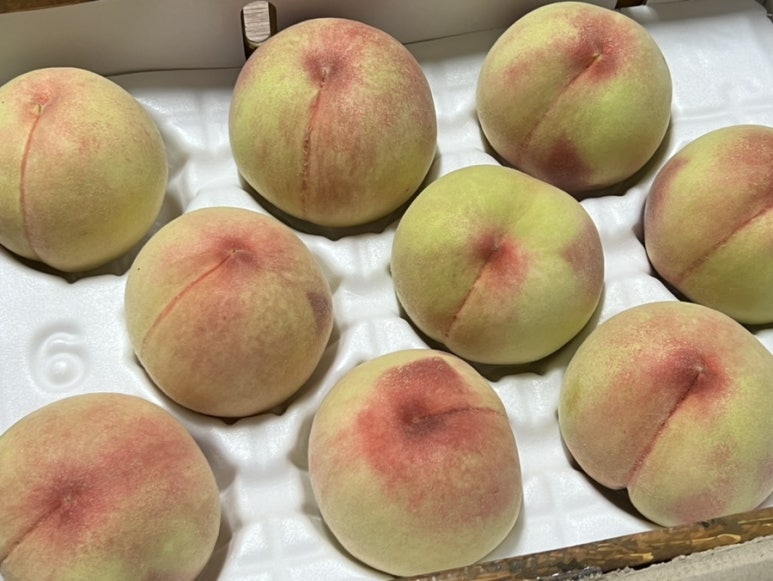 다함농원 이미지