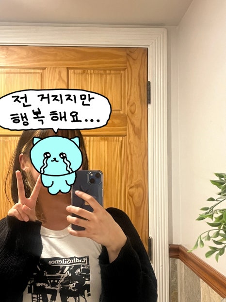 12월의알로하 이미지