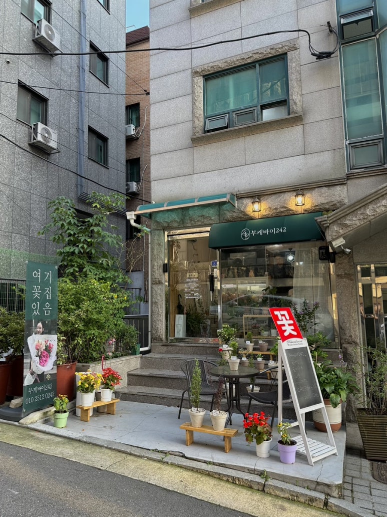 부케바이242 이미지
