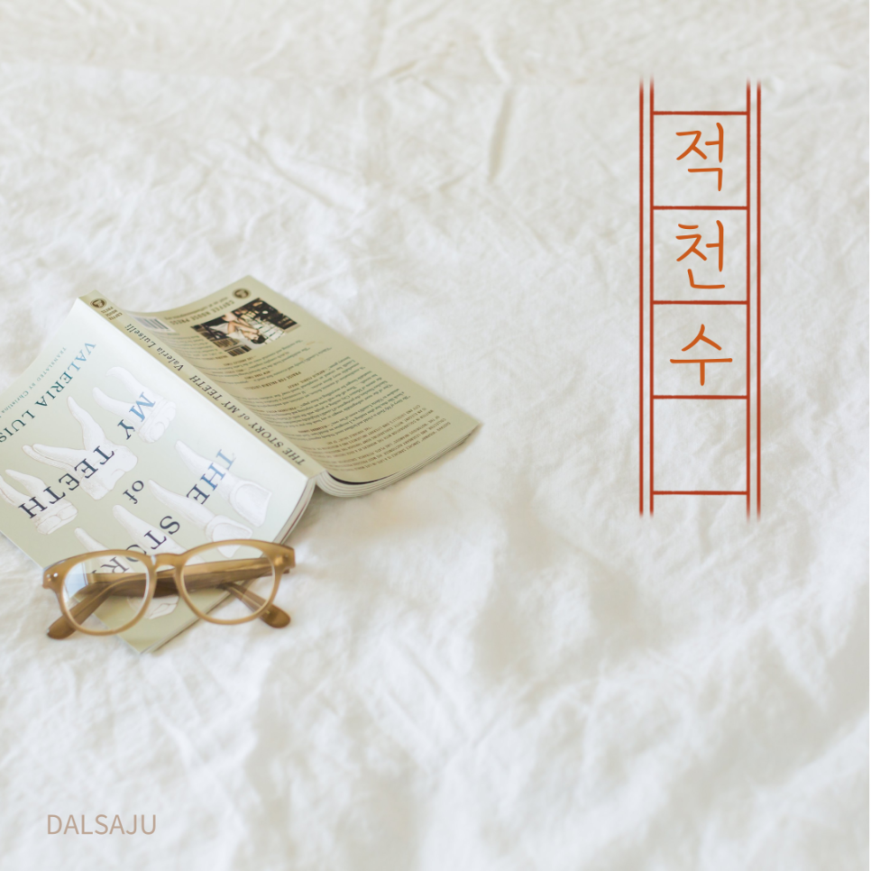 송대관정 이미지