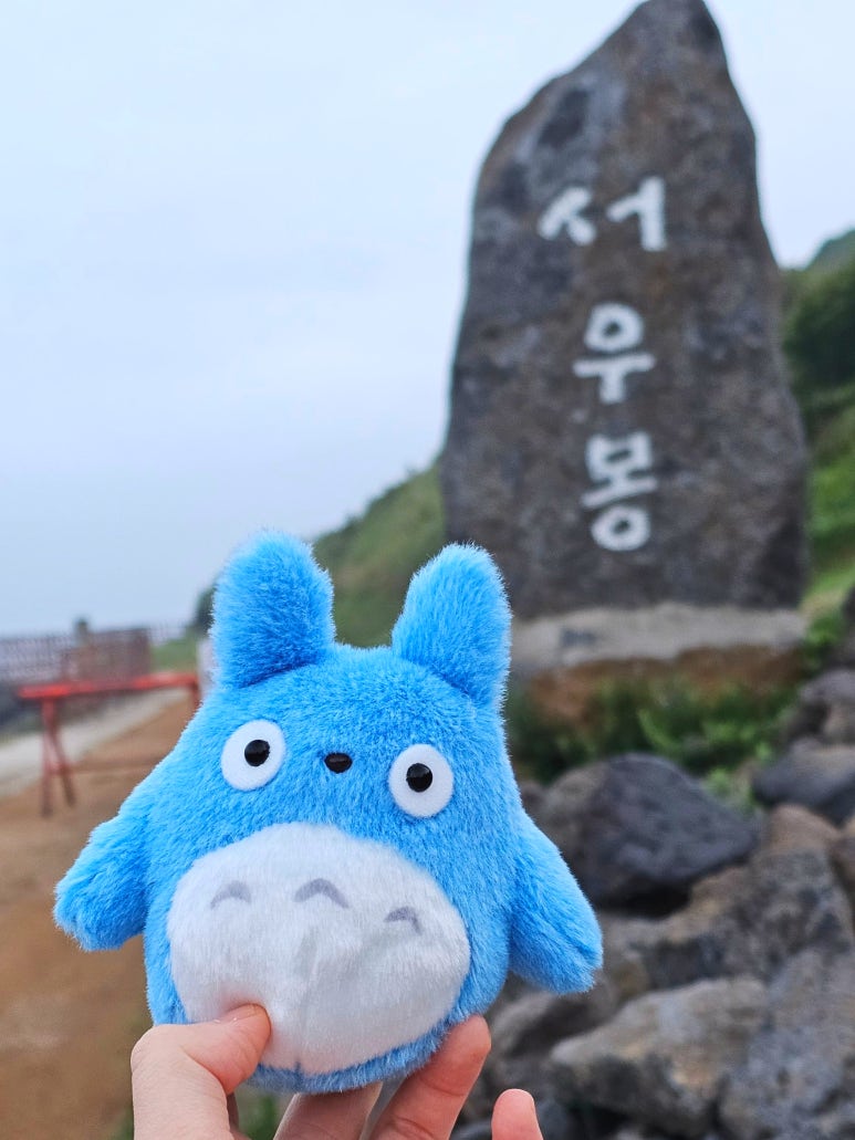 제주다올투어 이미지