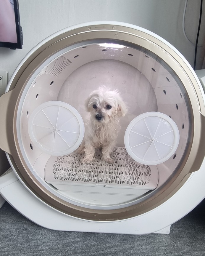 두복 이미지