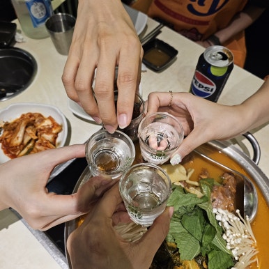 오이스터 이미지