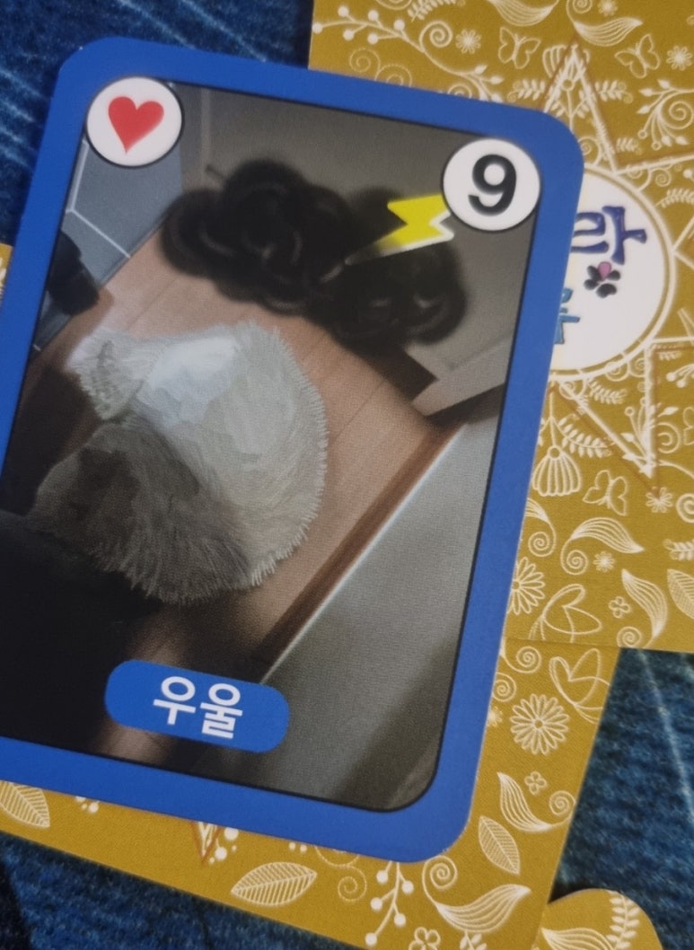 두복 이미지