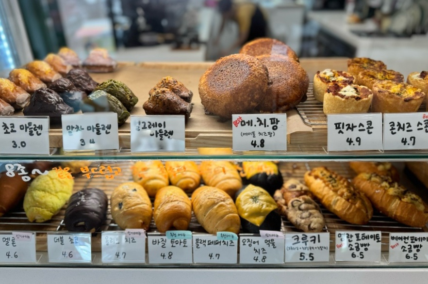 르솔티 이미지