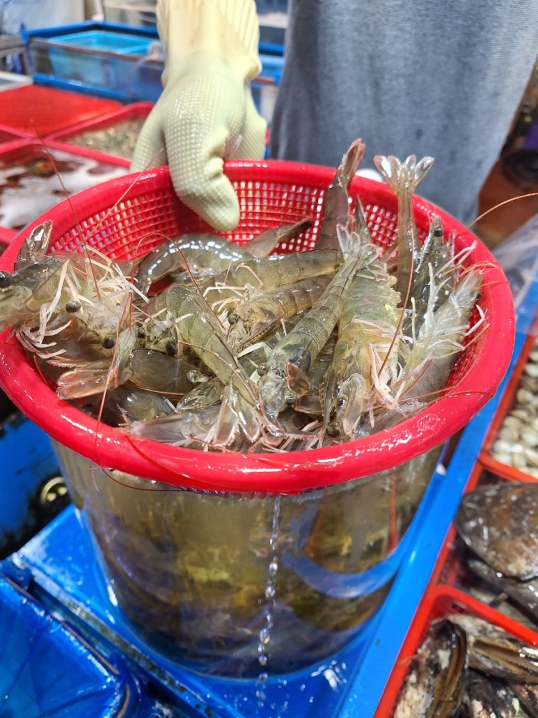 영풍수산 이미지