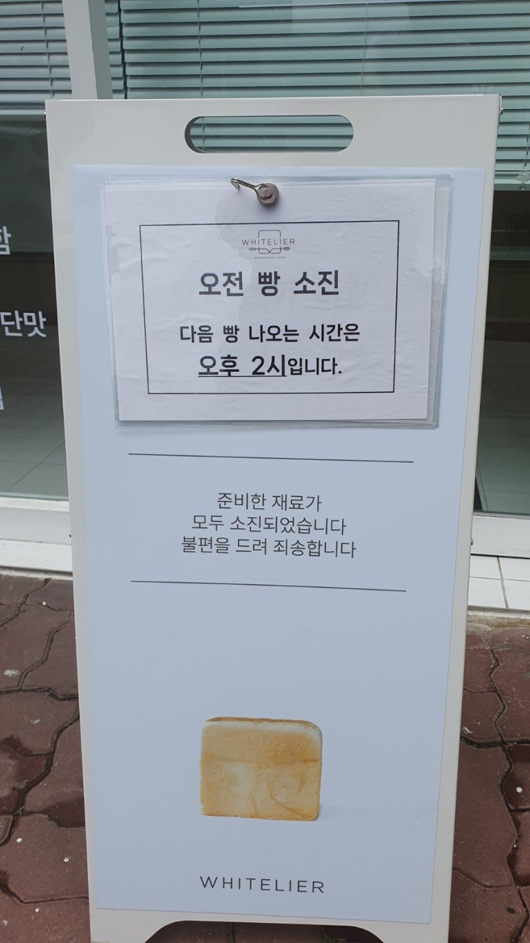 화이트리에 이미지