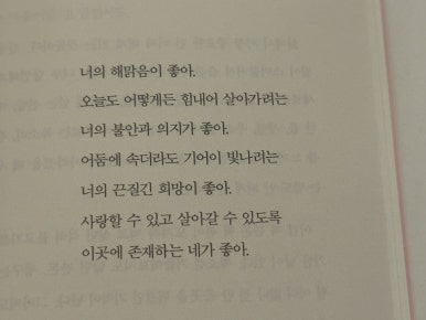 일홍 이미지