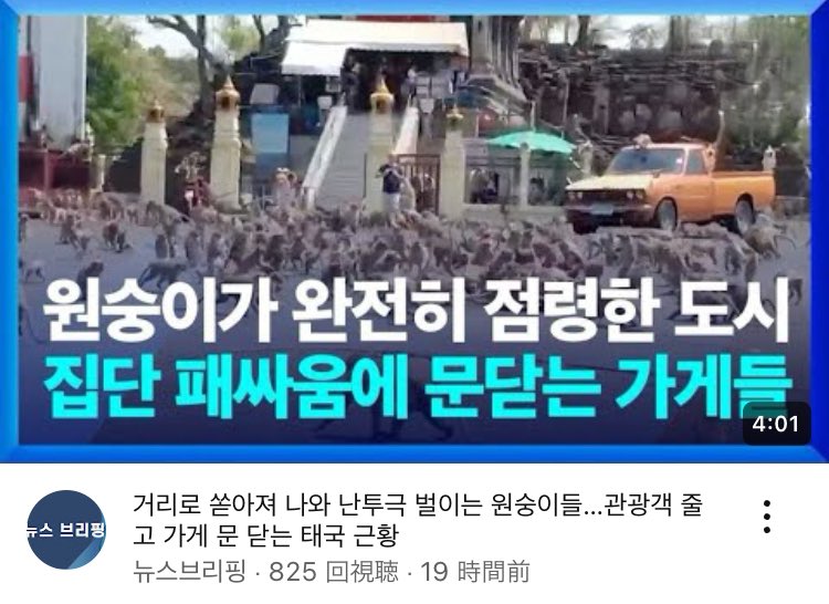 시오 이미지