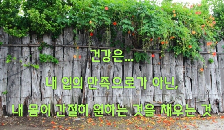 종근당건강 헬스벨스토리 의정부가능점 이미지