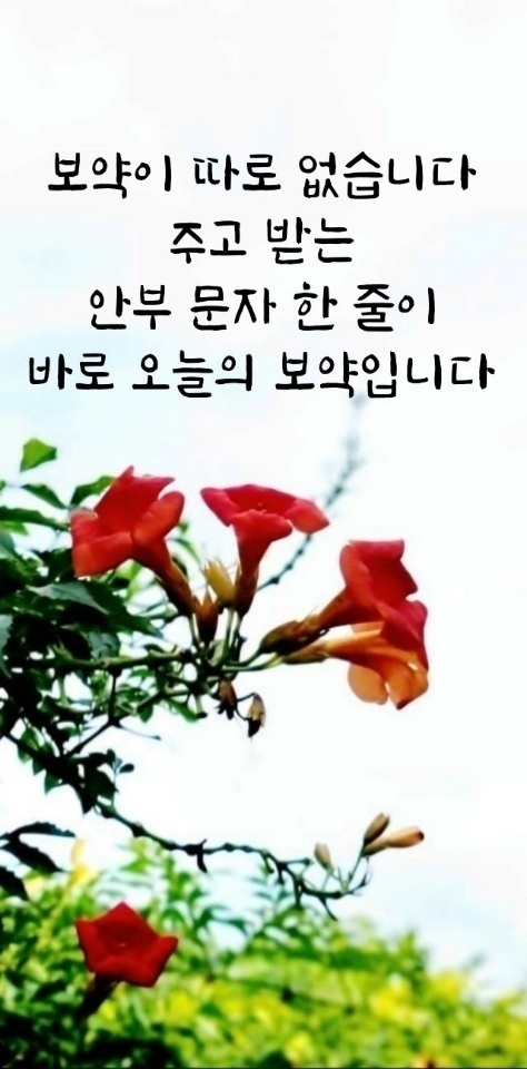 문*자 이미지