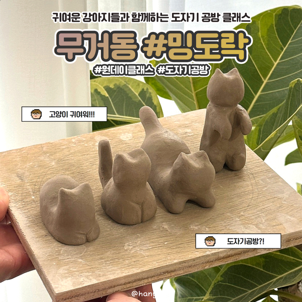 밍도락 이미지