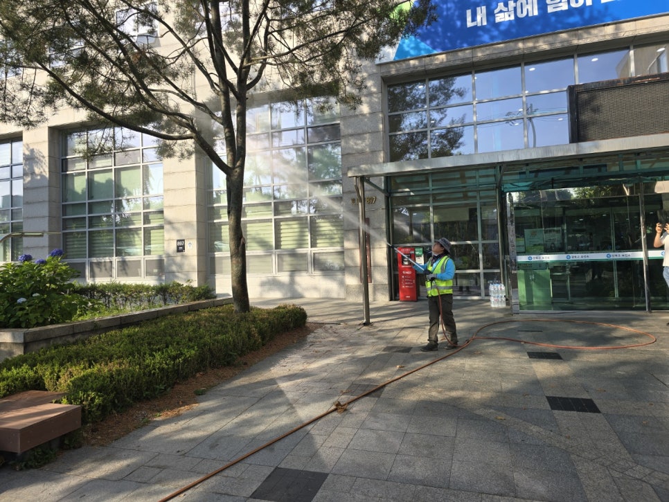 푸른솔나무병원 이미지