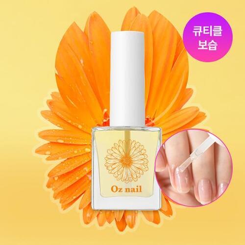 오즈네일 이미지