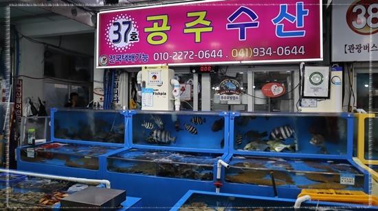 대천수산회센타 이미지