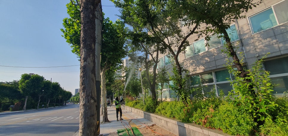 푸른솔나무병원 이미지