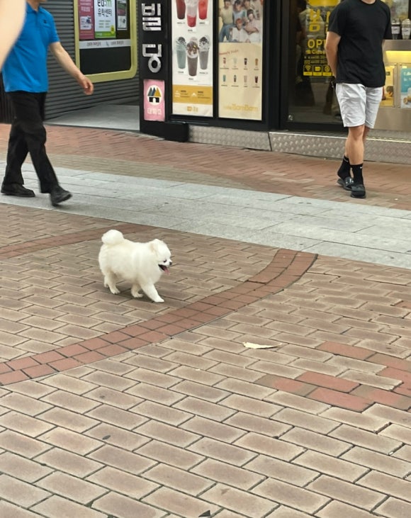 뮤노래연습장 이미지