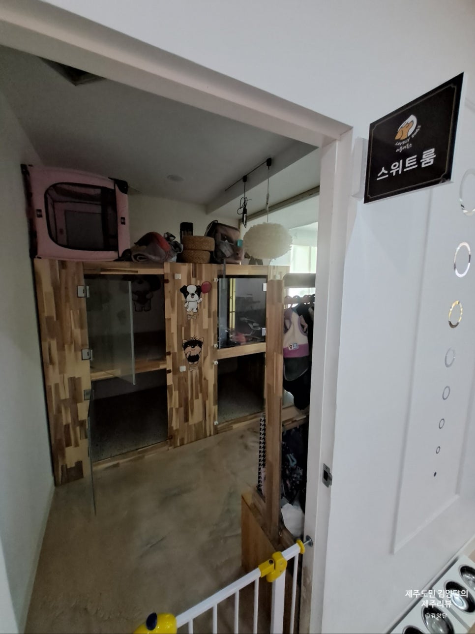 러블리독스 이미지