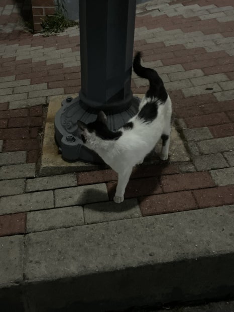 한동상사 이미지