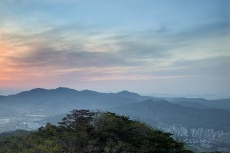 로얄인베스트 이미지