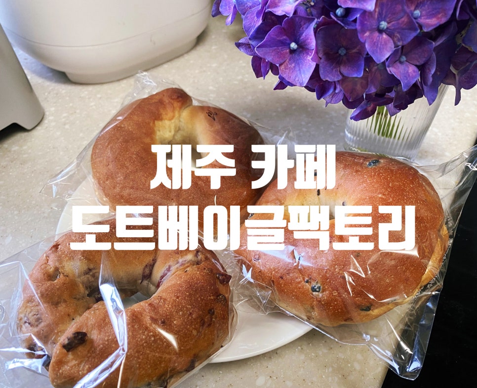 도트베이글팩토리 이미지