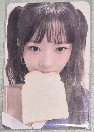 위드다이브 이미지