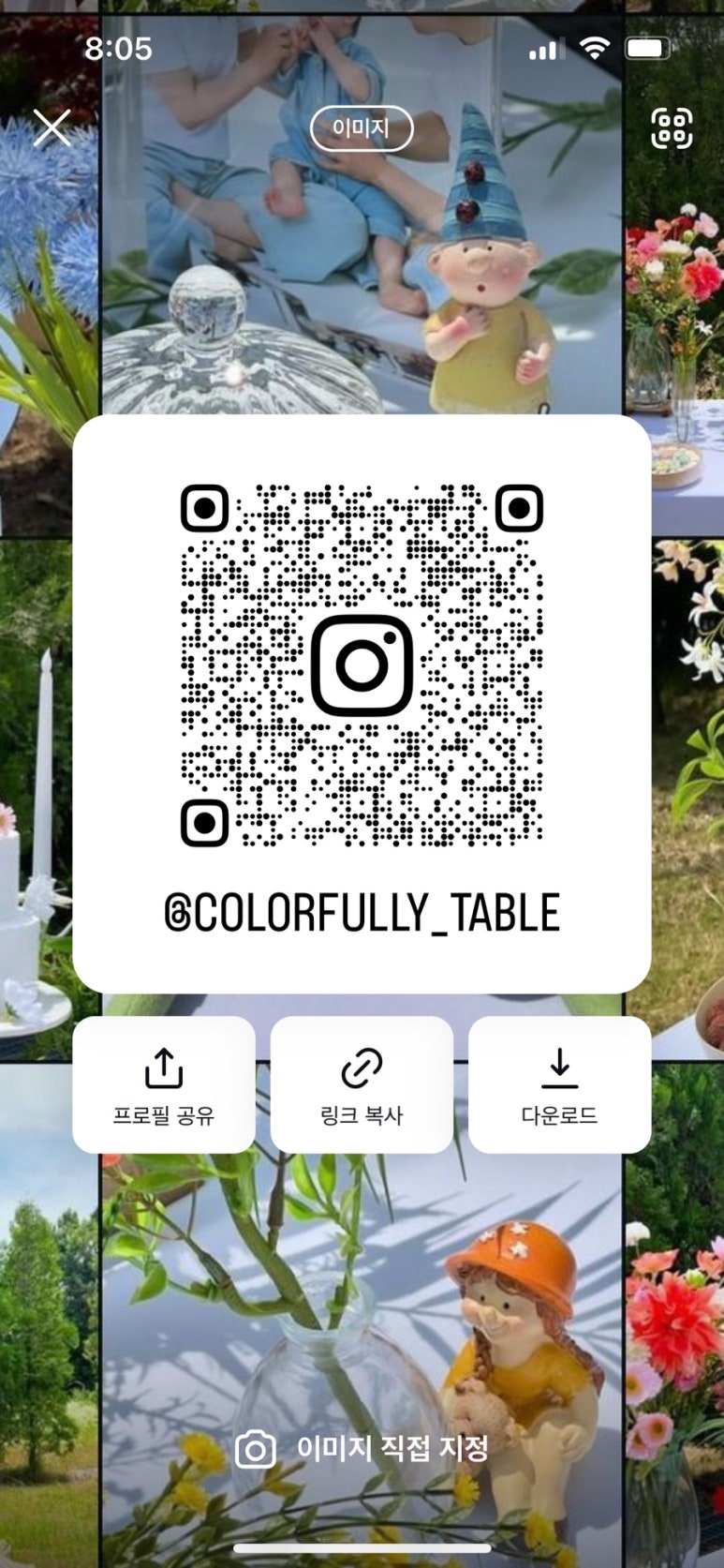컬러풀리 이미지