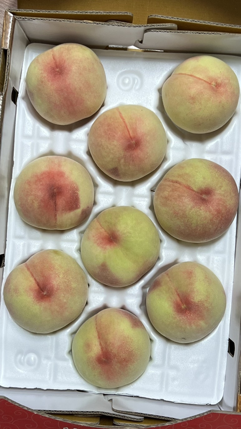 다함농원 이미지