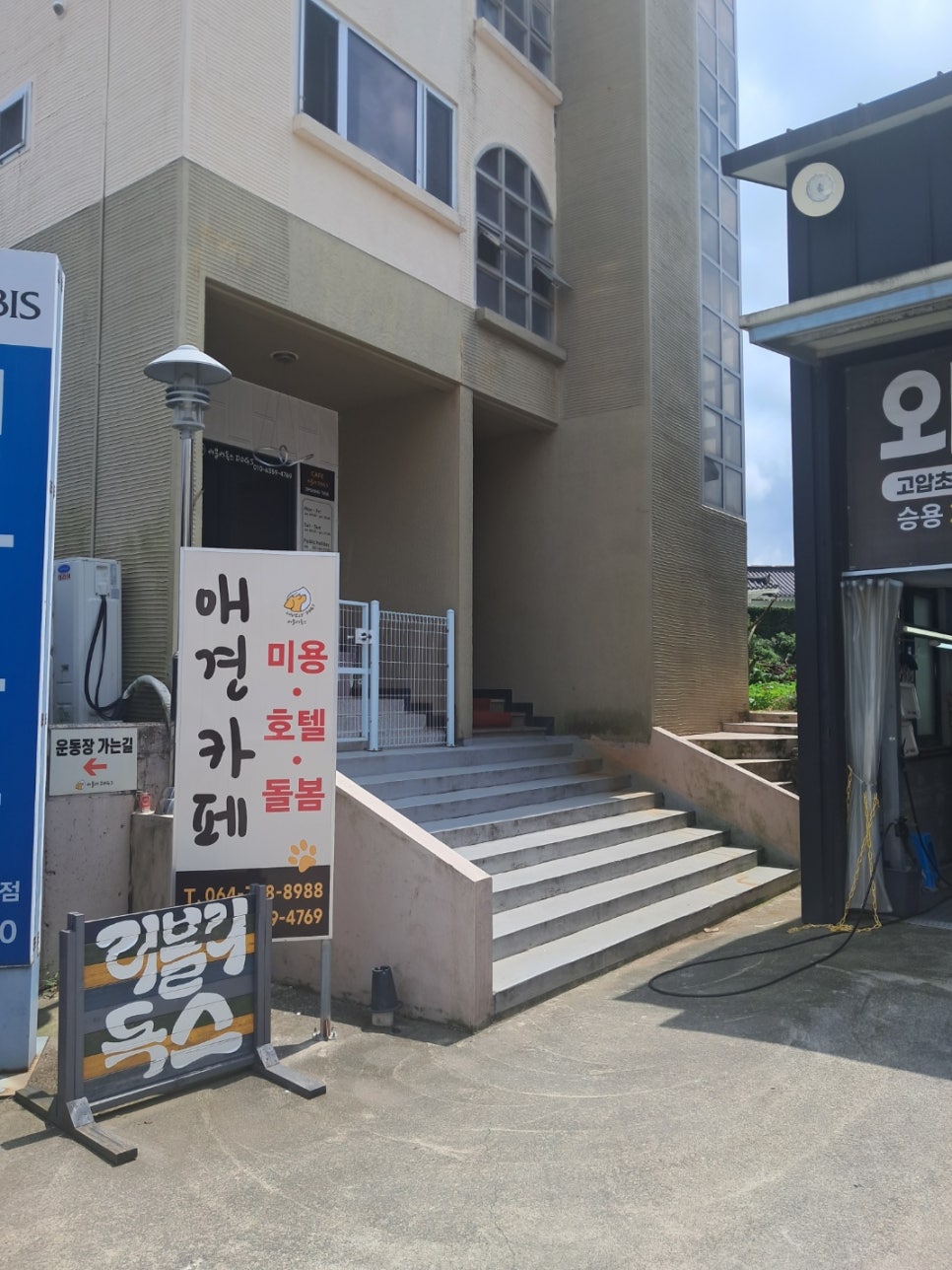 러블리독스 이미지