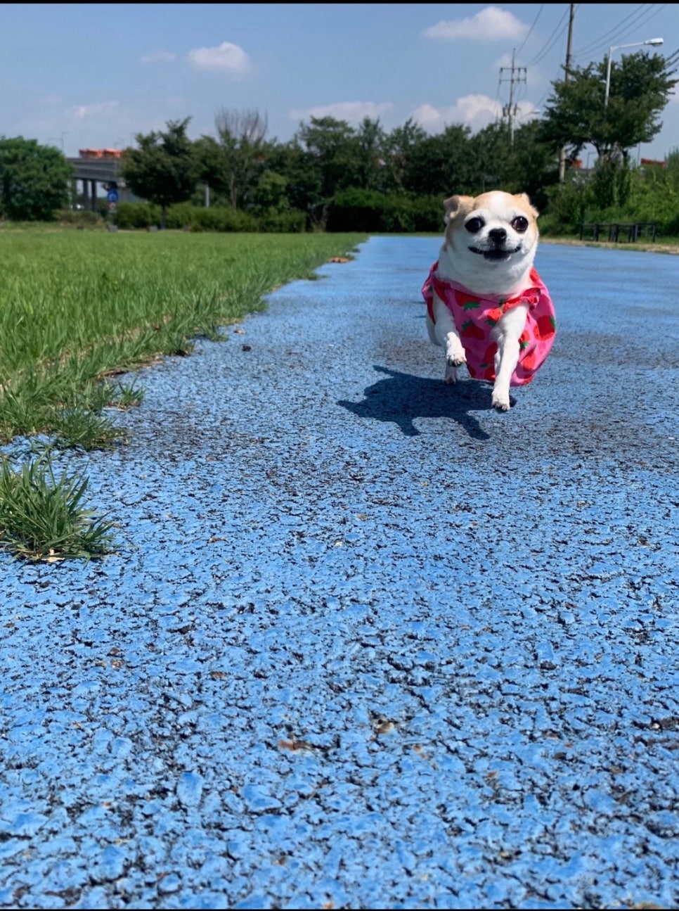 고려메디칼 이미지