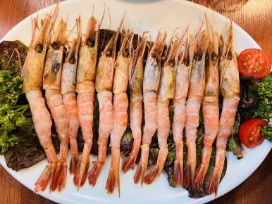 독도막회 이미지