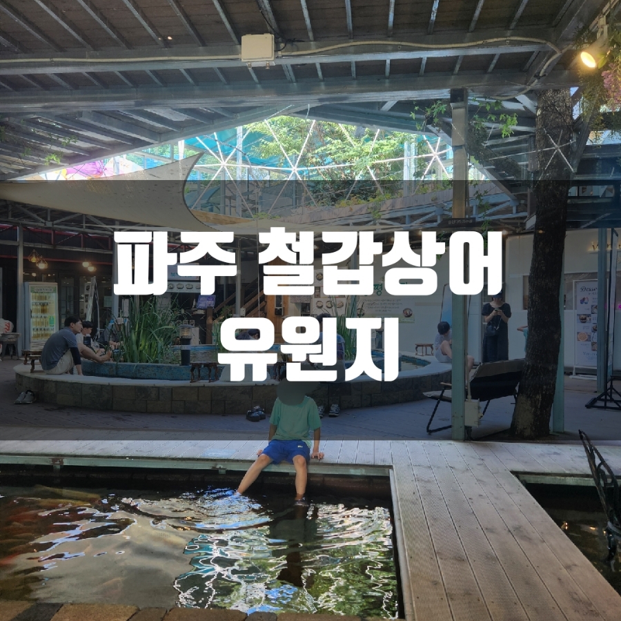 베르테라 이미지