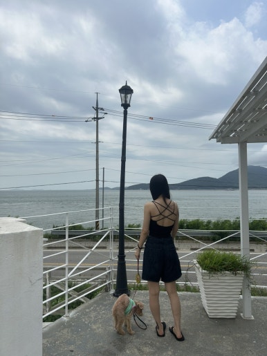 렌에너지 이미지