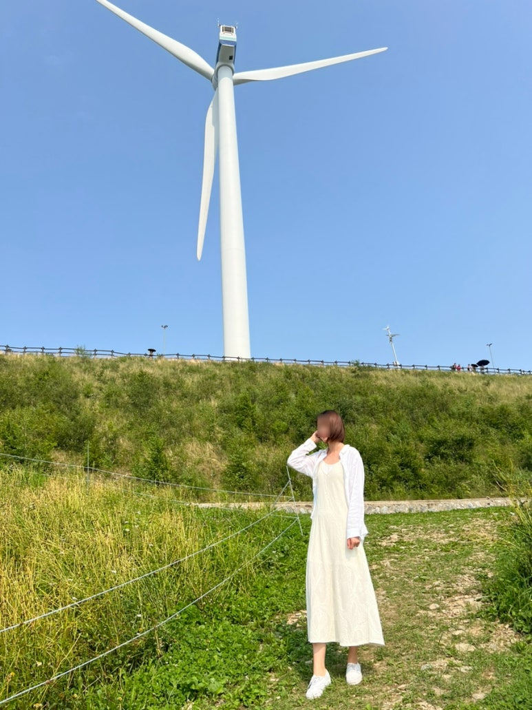 오대정육식당 이미지